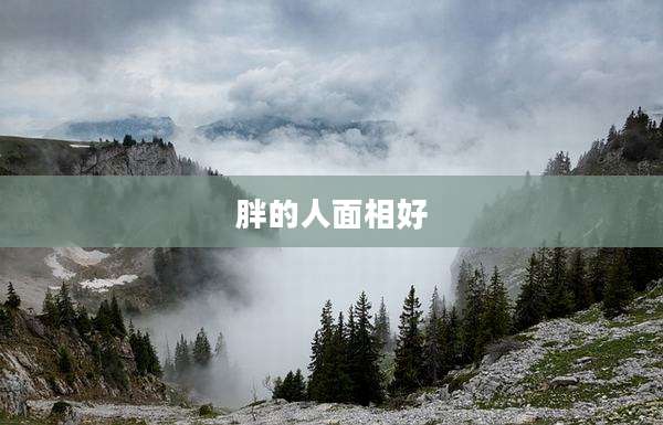 胖的人面相好