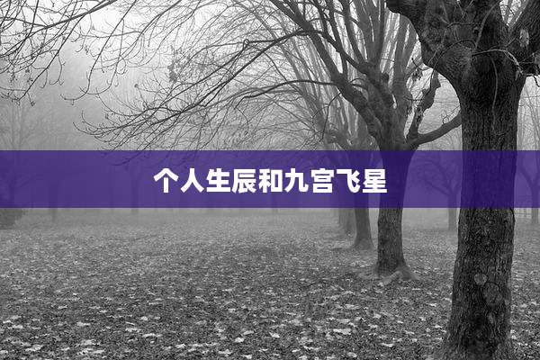 个人生辰和九宫飞星