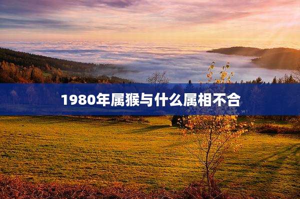 1980年属猴与什么属相不合
