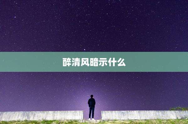 醉清风暗示什么