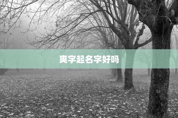 爽字起名字好吗