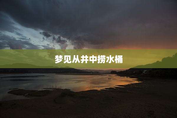 梦见从井中捞水桶