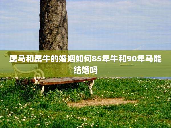 属马和属牛的婚姻如何85年牛和90年马能结婚吗