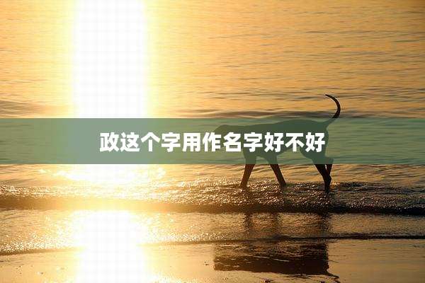 政这个字用作名字好不好