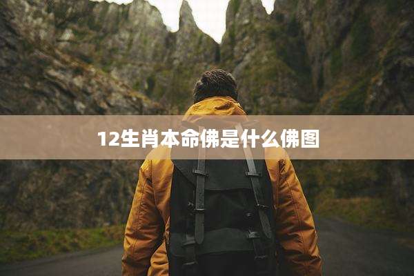 12生肖本命佛是什么佛图