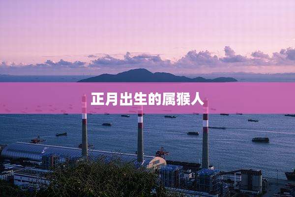 正月出生的属猴人