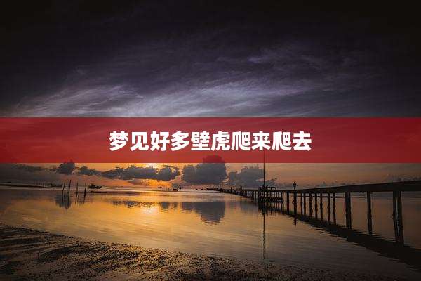 梦见好多壁虎爬来爬去