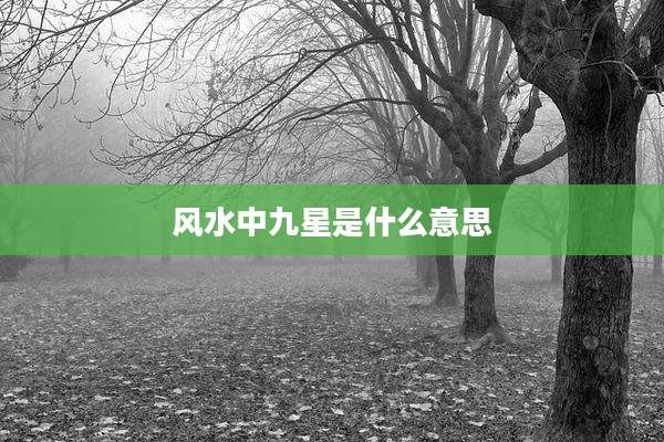 风水中九星是什么意思
