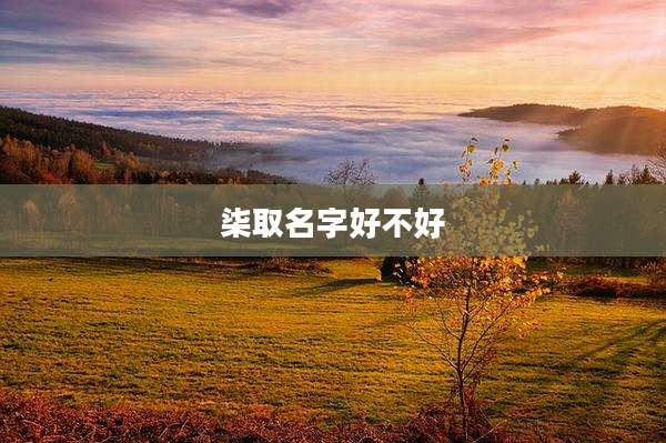 柒取名字好不好