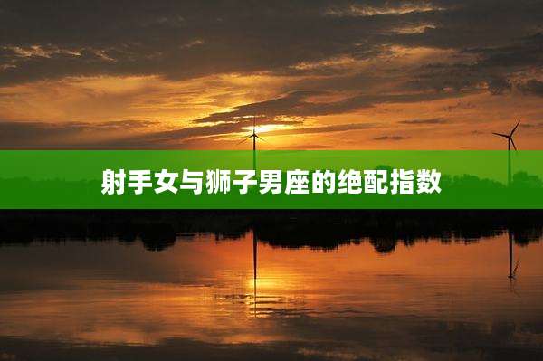 射手女与狮子男座的绝配指数
