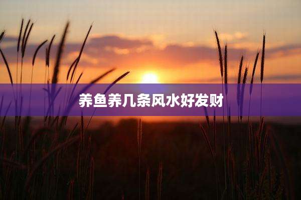 养鱼养几条风水好发财