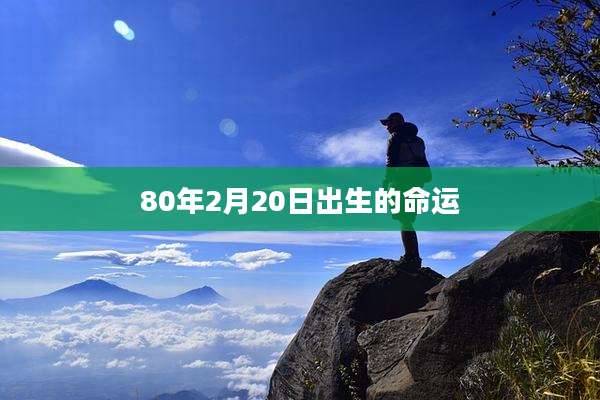 80年2月20日出生的命运