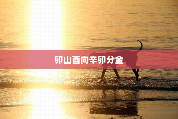 卯山酉向辛卯分金