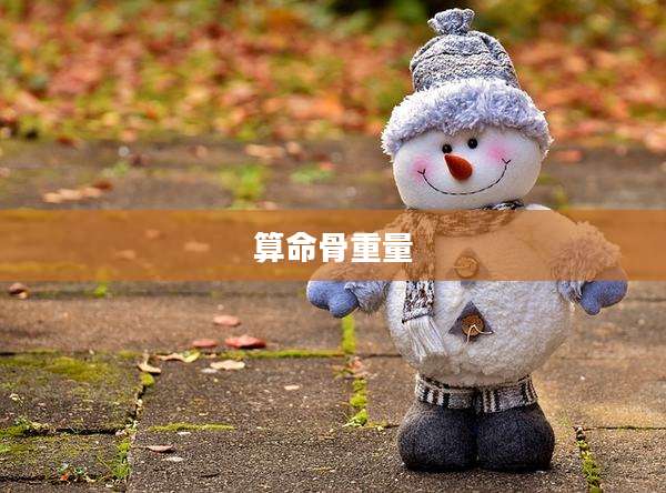 算命骨重量
