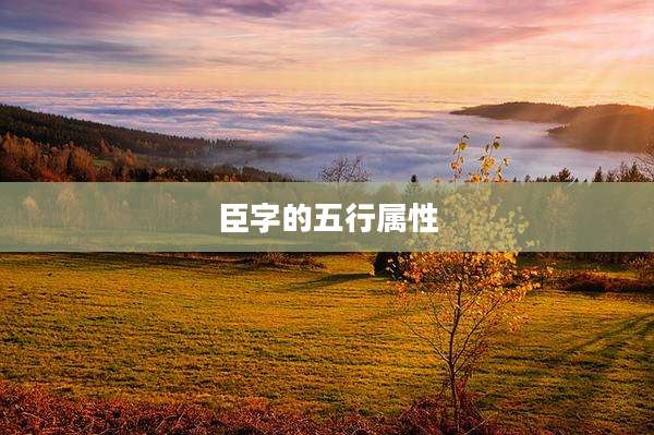 臣字的五行属性