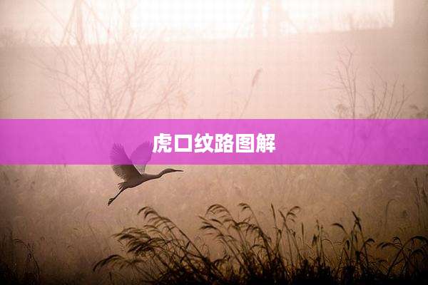 虎口纹路图解