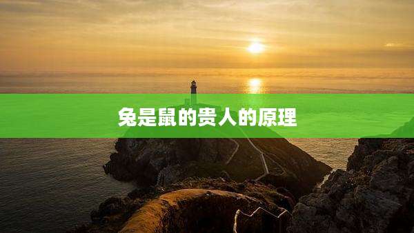 兔是鼠的贵人的原理