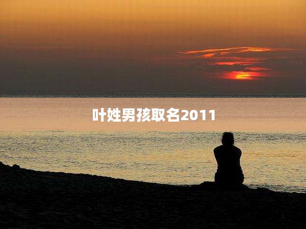 叶姓男孩取名2011