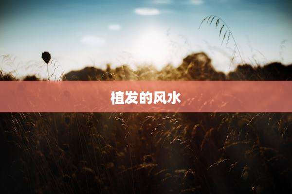 植发的风水