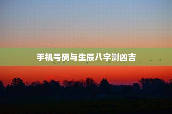 手机号码与生辰八字测凶吉