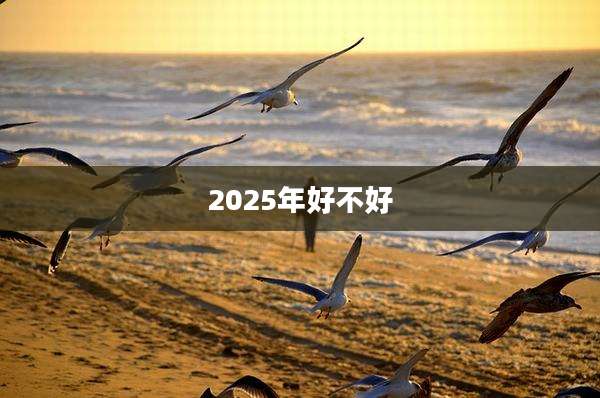 2025年好不好
