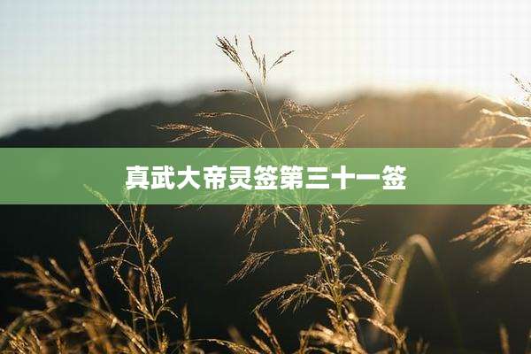 真武大帝灵签第三十一签