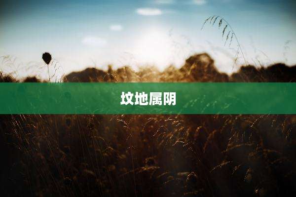 坟地属阴