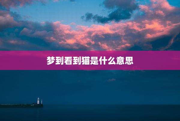 梦到看到猫是什么意思