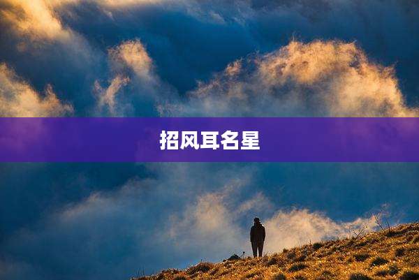 招风耳名星