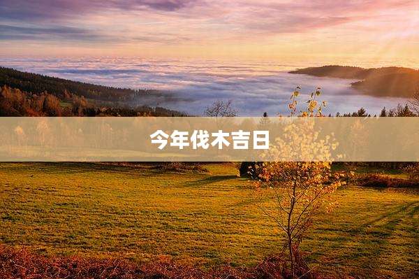 今年伐木吉日