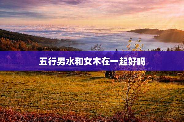 五行男水和女木在一起好吗