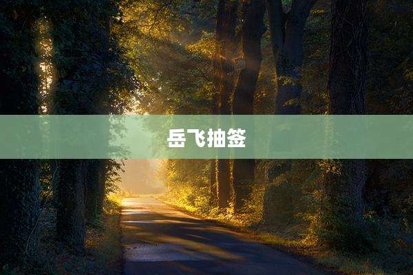 岳飞抽签