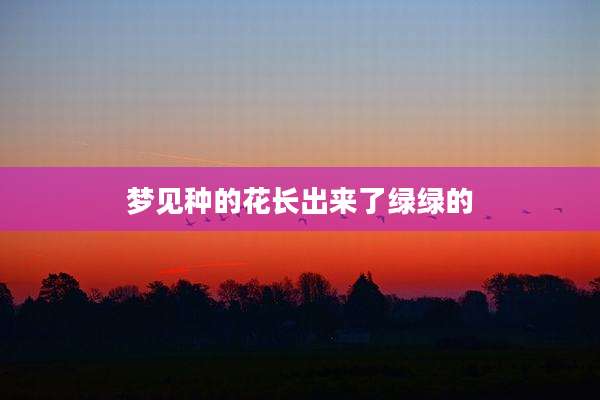 梦见种的花长出来了绿绿的