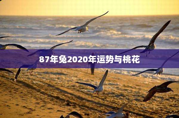 87年兔2020年运势与桃花