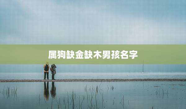 属狗缺金缺木男孩名字
