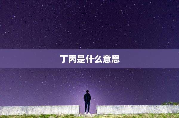 丁丙是什么意思