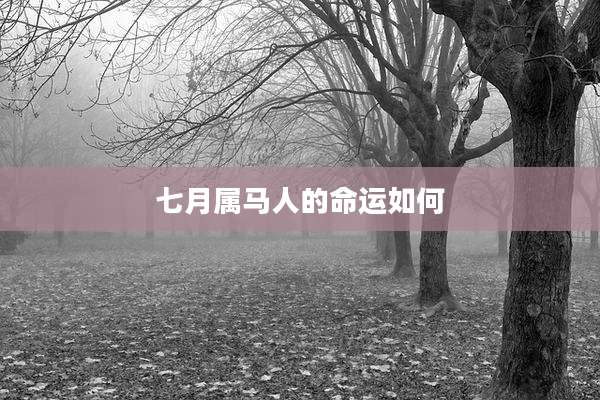 七月属马人的命运如何