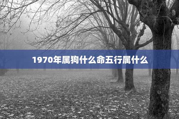 1970年属狗什么命五行属什么