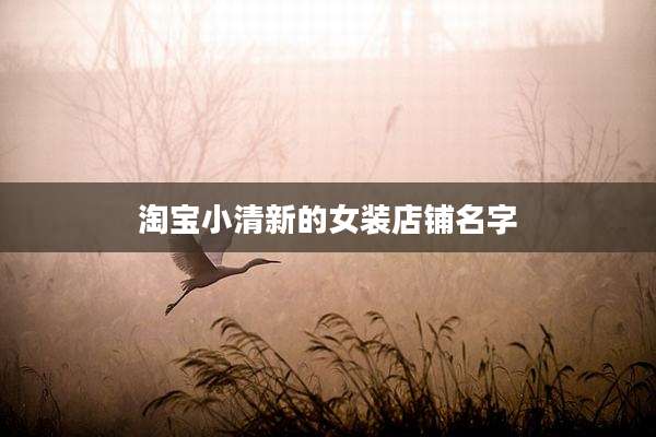 淘宝小清新的女装店铺名字