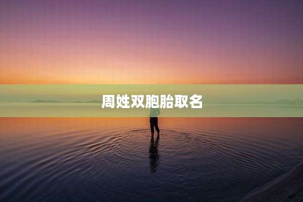 周姓双胞胎取名