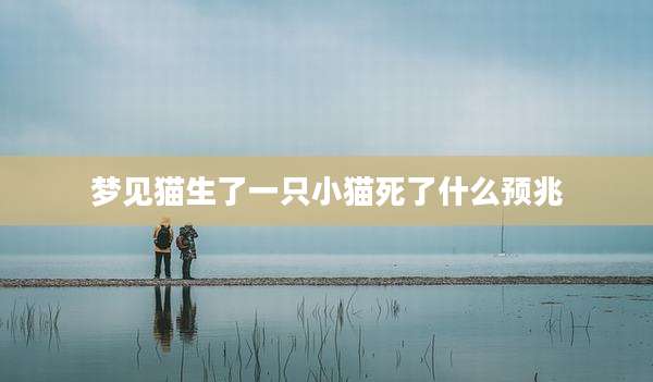 梦见猫生了一只小猫死了什么预兆