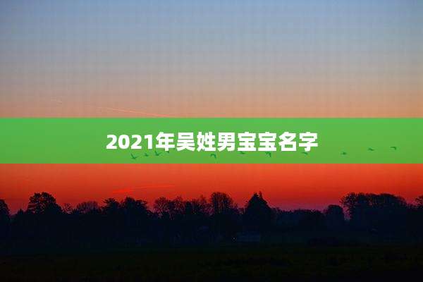 2021年吴姓男宝宝名字