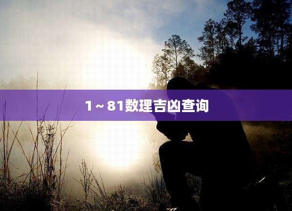 1~81数理吉凶查询