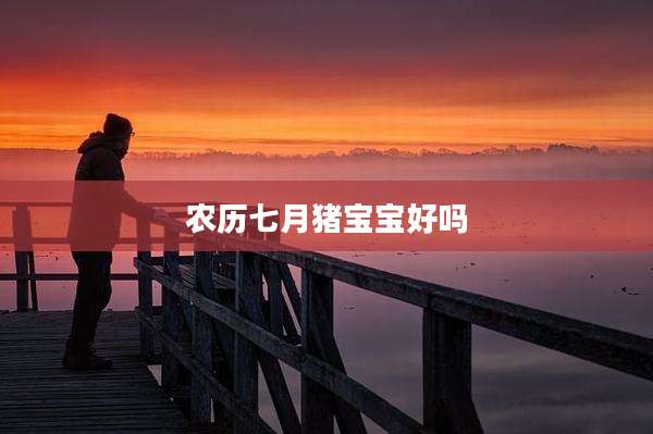 农历七月猪宝宝好吗