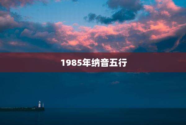 1985年纳音五行