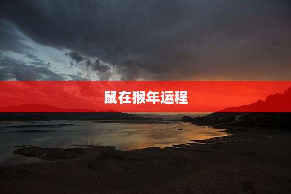 鼠在猴年运程