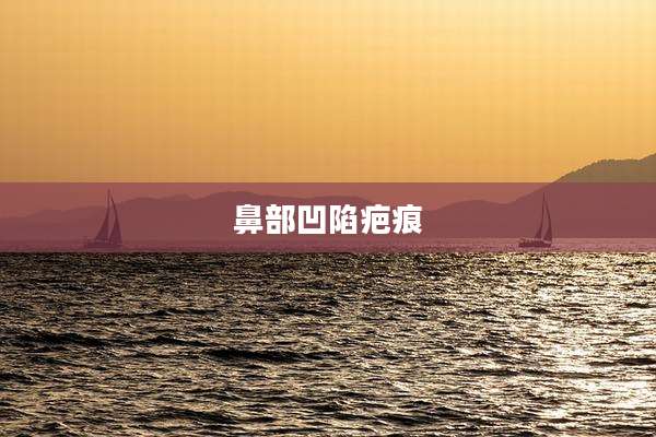 鼻部凹陷疤痕
