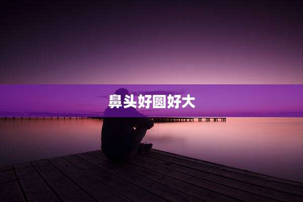 鼻头好圆好大