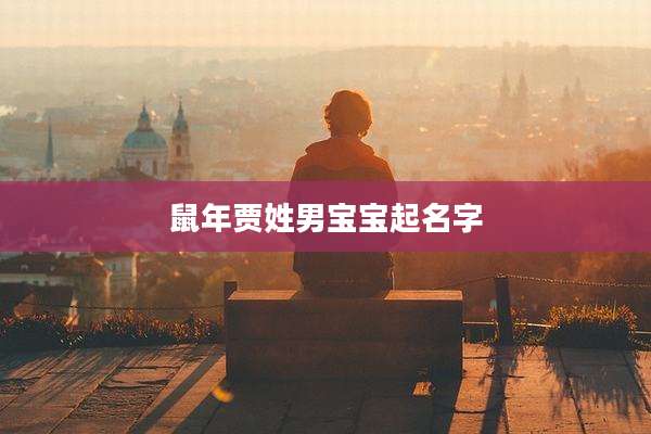 鼠年贾姓男宝宝起名字