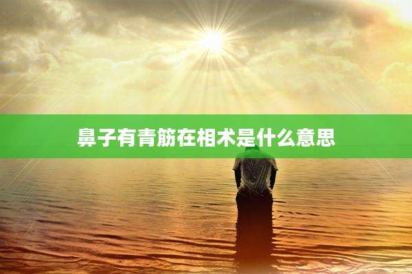 鼻子有青筋在相术是什么意思